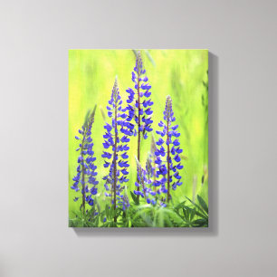USA, Oregon, Mt. Hood National Forest, Lupine Canvas Print