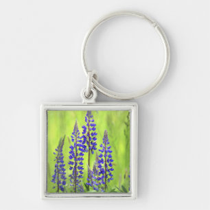 USA, Oregon, Mt. Hood National Forest, Lupine Keychain
