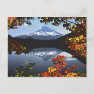 USA, Oregon, Mt. Hood National Forest. Postcard