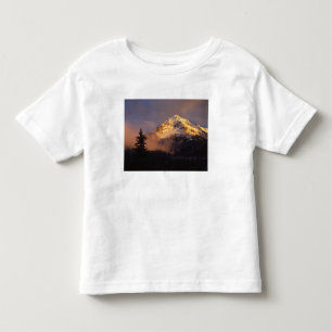 USA, Oregon, Mt. Hood National Forest. Rolling Toddler T-shirt