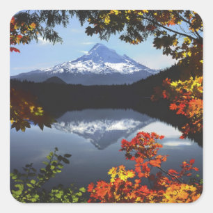 USA, Oregon, Mt. Hood National Forest. Square Sticker