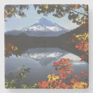 USA, Oregon, Mt. Hood National Forest. Stone Coaster