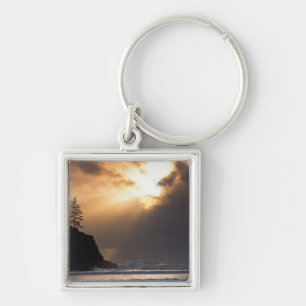 USA, Oregon, near Oswald West State Park, Late Keychain