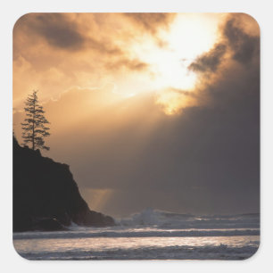 USA, Oregon, near Oswald West State Park, Late Square Sticker