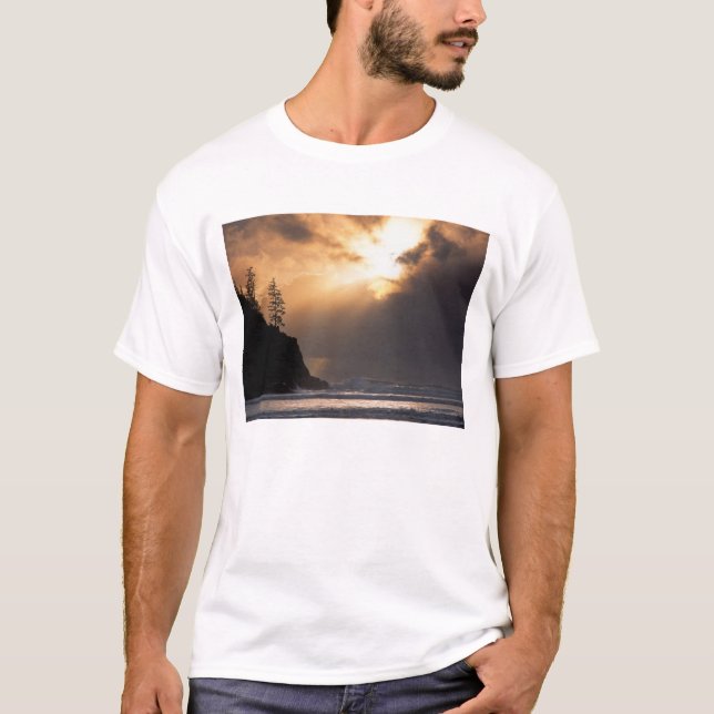 USA, Oregon, near Oswald West State Park, Late T-Shirt (Front)