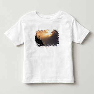 USA, Oregon, near Oswald West State Park, Late Toddler T-shirt
