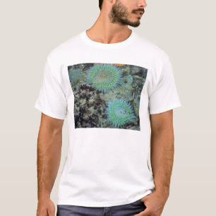 USA, Oregon, Nepture SP. Jewel-toned sea T-Shirt