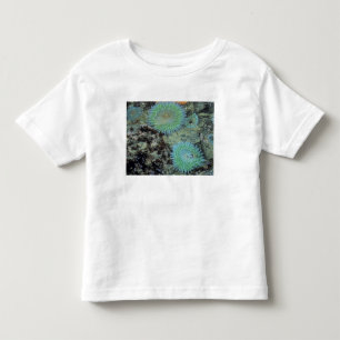 USA, Oregon, Nepture SP. Jewel-toned sea Toddler T-shirt