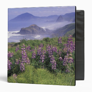 USA, Oregon, Nesika Beach. Lupine and Oregon Binder