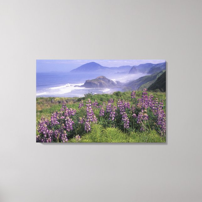 USA, Oregon, Nesika Beach. Lupine and Oregon Canvas Print (Front)