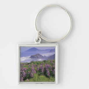USA, Oregon, Nesika Beach. Lupine and Oregon Keychain