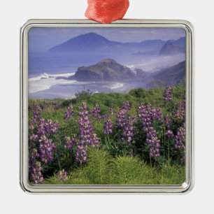 USA, Oregon, Nesika Beach. Lupine and Oregon Metal Ornament