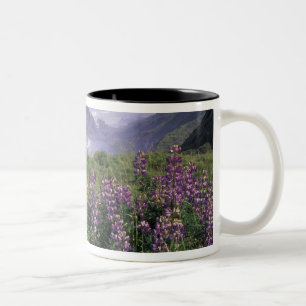 USA, Oregon, Nesika Beach. Lupine and Oregon Two-Tone Coffee Mug