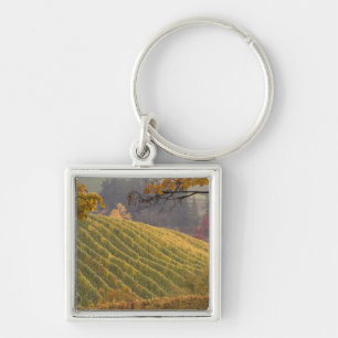 USA, Oregon, Newberg. Vineyard in the fall. Keychain