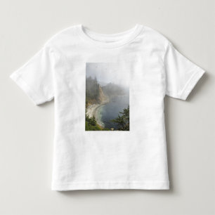 USA, Oregon, Ocean View, Cape Arago, Bandon Toddler T-shirt