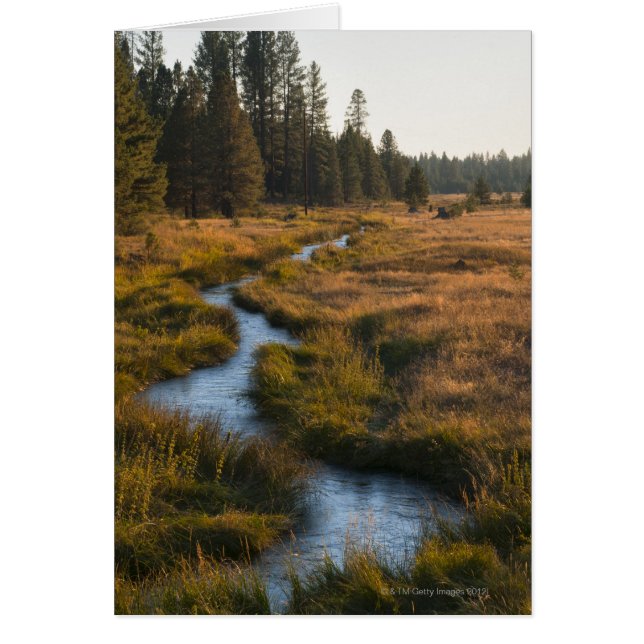 USA, Oregon, Paulina Creek (Devant)