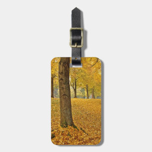 USA, Oregon, Portland. American Linden Trees Luggage Tag