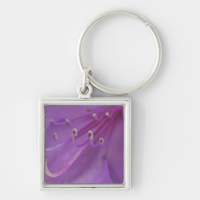 USA, Oregon, Portland. Close-up of a Keychain (Front)