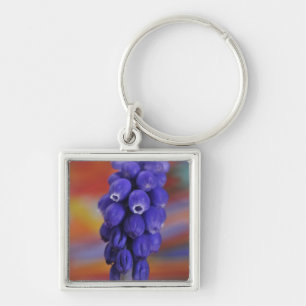 USA, Oregon, Portland. Close-up of blue grape Keychain