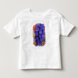 USA, Oregon, Portland. Close-up of blue grape Toddler T-shirt