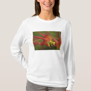 USA, Oregon, Portland. Close-up of columbine T-Shirt