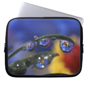 USA, Oregon, Portland, Close-up of ladybird Laptop Sleeve