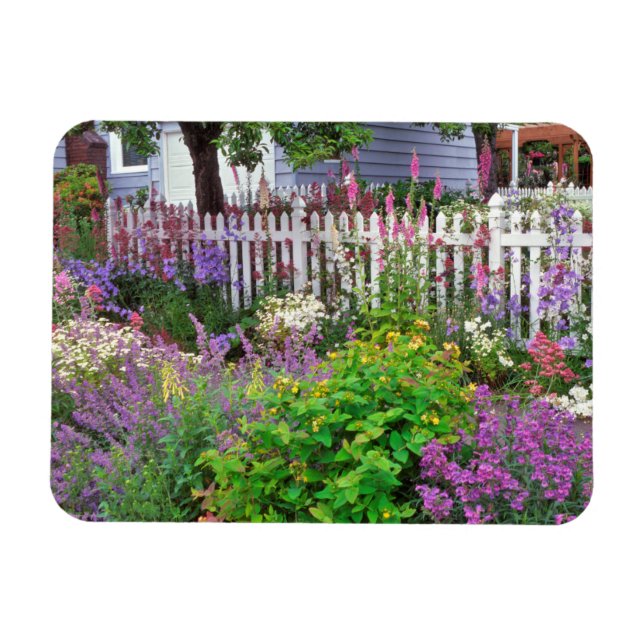 USA, Oregon, Portland. Explosion Of Springtime Magnet (Horizontal)