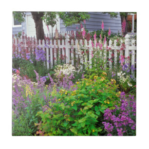 USA, Oregon, Portland. Explosion Of Springtime Tile