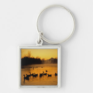 USA, Oregon, Portland. Waterfowl in Columbia Keychain