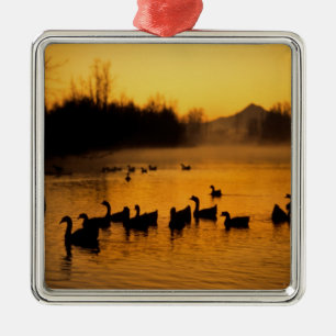USA, Oregon, Portland. Waterfowl in Columbia Metal Ornament