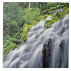 USA, Oregon, Proxy Falls. Proxy Falls rushes Tile