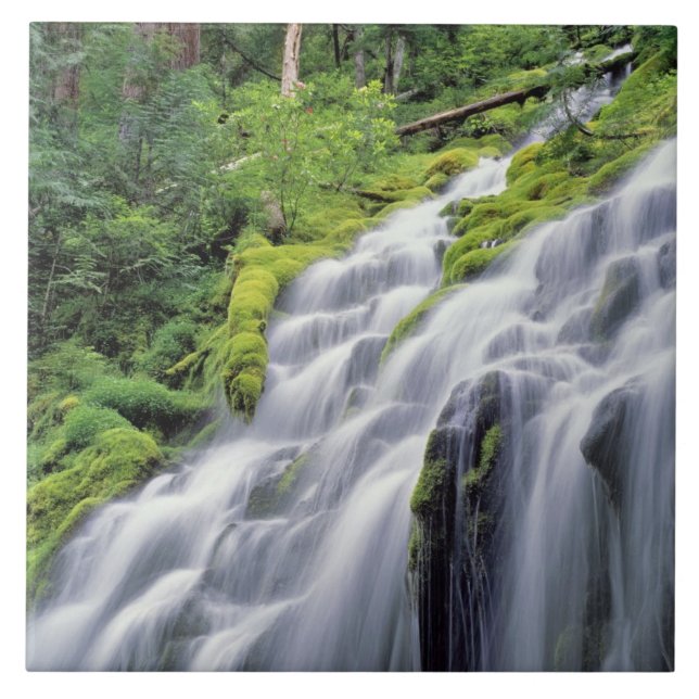 USA, Oregon, Proxy Falls. Proxy Falls rushes Tile (Front)