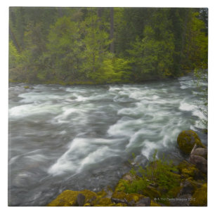 USA, Oregon, Scenic view of Santiam River Tile