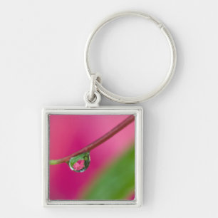 USA, Oregon, Shore Acres Gardens, Water droplet Keychain