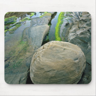 USA, Oregon, Shore Acres State Park Mouse Pad