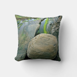 USA, Oregon, Shore Acres State Park Throw Pillow
