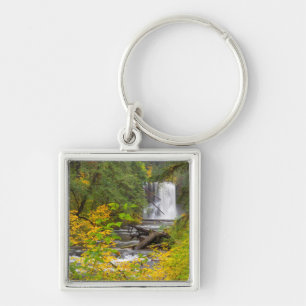 USA, Oregon, Silver Falls State Park 2 Keychain