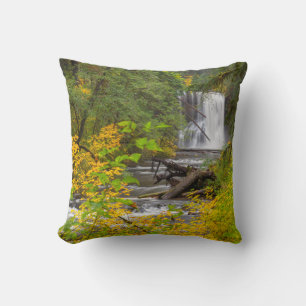 USA, Oregon, Silver Falls State Park 2 Throw Pillow