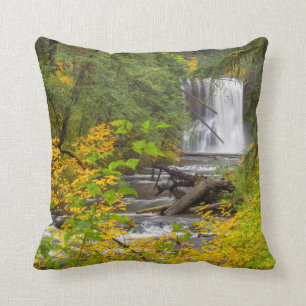 USA, Oregon, Silver Falls State Park 2 Throw Pillow