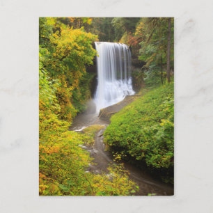 USA, Oregon, Silver Falls State Park 3 Postcard