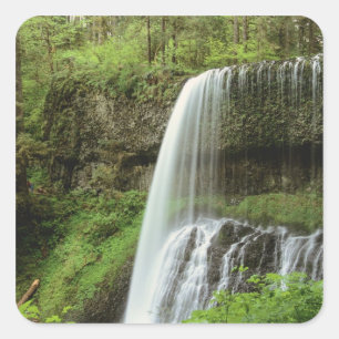 USA, Oregon, Silver Falls State Park. Lower Square Sticker