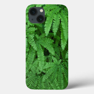 USA, Oregon, Silverton. Maidenhair Ferns iPhone 13 Case