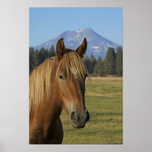 USA, Oregon, Sisters, view of Three Sisters, Poster