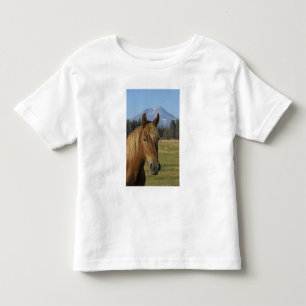 USA, Oregon, Sisters, view of Three Sisters, Toddler T-shirt