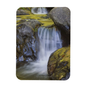 USA, Oregon, small waterfall Magnet