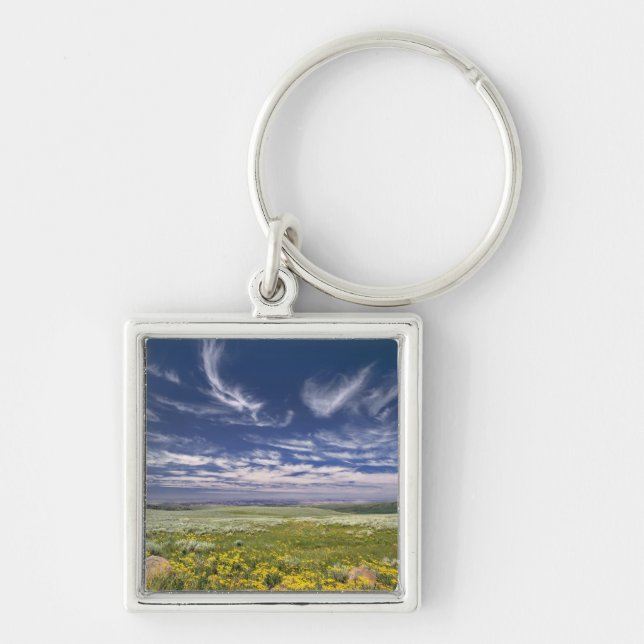 USA, Oregon, Steens Mountain. Spring burgeons Keychain (Front)
