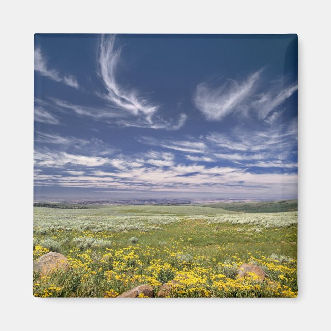USA, Oregon, Steens Mountain. Spring burgeons Magnet (Front)