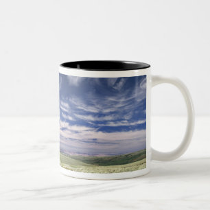 USA, Oregon, Steens Mountain. Spring burgeons Two-Tone Coffee Mug