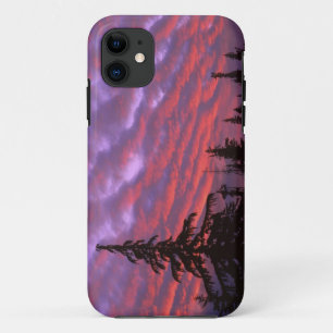 USA, Oregon, Three Sisters Wilderness, Vivid iPhone 11 Case