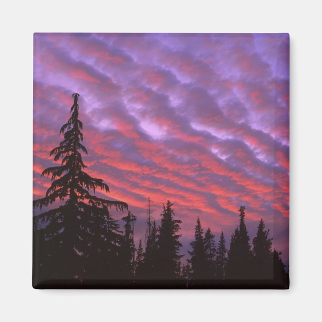 USA, Oregon, Three Sisters Wilderness, Vivid Magnet (Front)